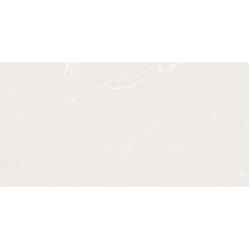 PORCELANATO RETIFICADO MONT SABLE-R60 A 60X120 ESMALTADO POLIDO DELTA PORCELANATO NOVA ESSENSE