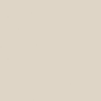 PORCELANATO TEC.POL.62,00 ORION TP62602 - 671A-32-0143-24