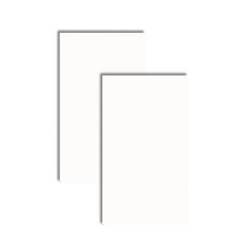 PISO CERAMICO ESMALTADO MONOQUEIMA REF. 32001 EXTRA A 32X56