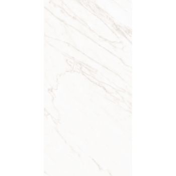 LM ALPE POL 60X120 R